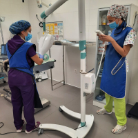 radiologia dental veterinaria valencia